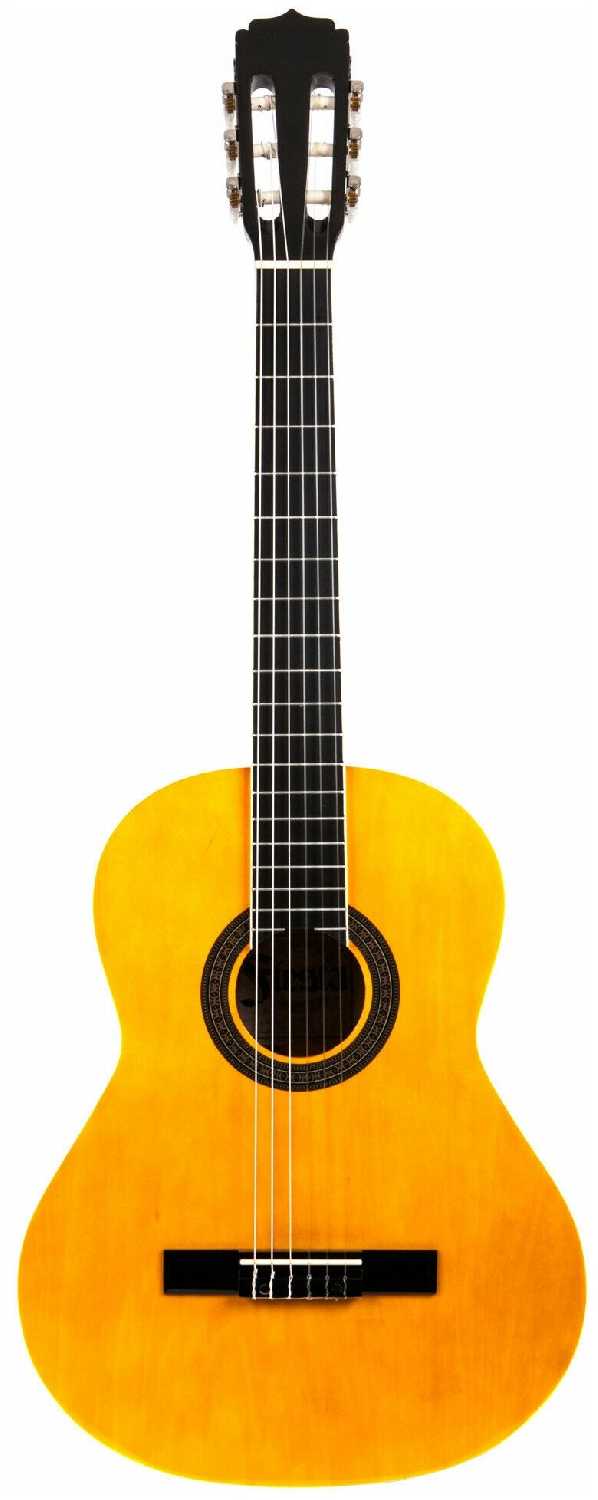 Гитара классическая ARIA FIESTA FST-200 N