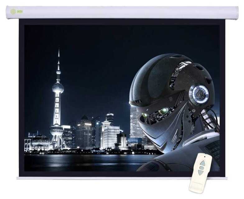 Рулонный cactus Motoscreen (CS-PSM-124x221)