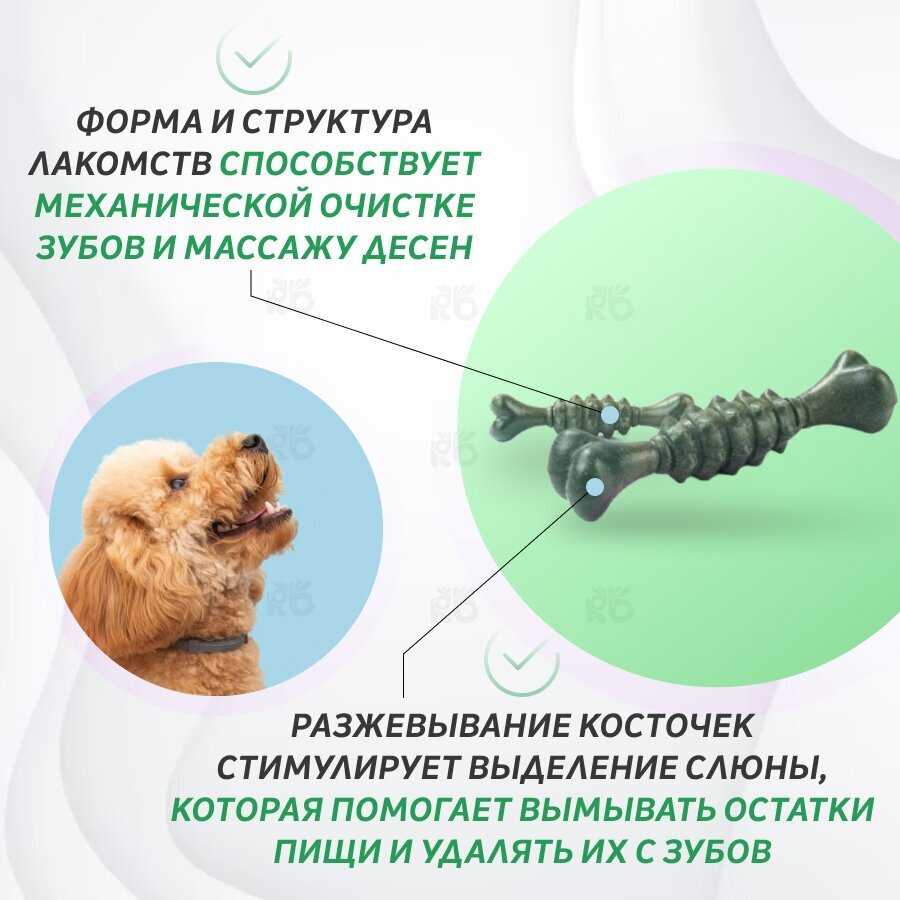 Лакомство для собак Зубочистики Мятные с хлорофиллом для малых пород фотография 3