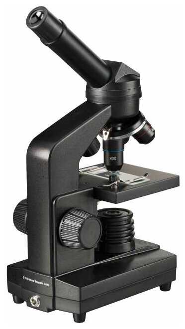Микроскоп BRESSER National Geographic 40-1280x с адаптером для смартфона фотография 1