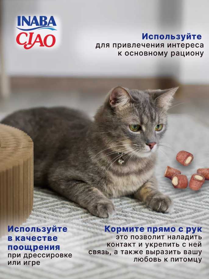 Лакомство для кошек Inaba Churu Bee с тунцом Магуро и запеченным куриным филе 2 уп х 30 гр фотография 6