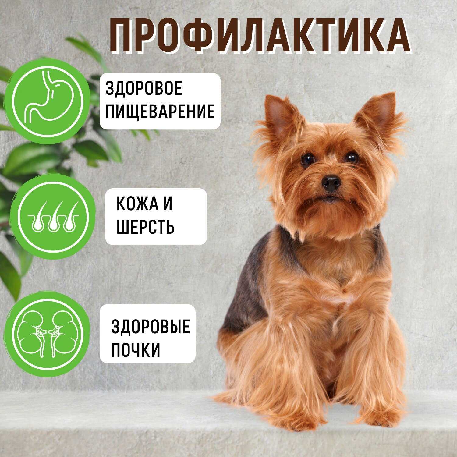 Корм для собак Grandorf гипоаллергенный, Low Grain, ягненок с индейкой фотография 7