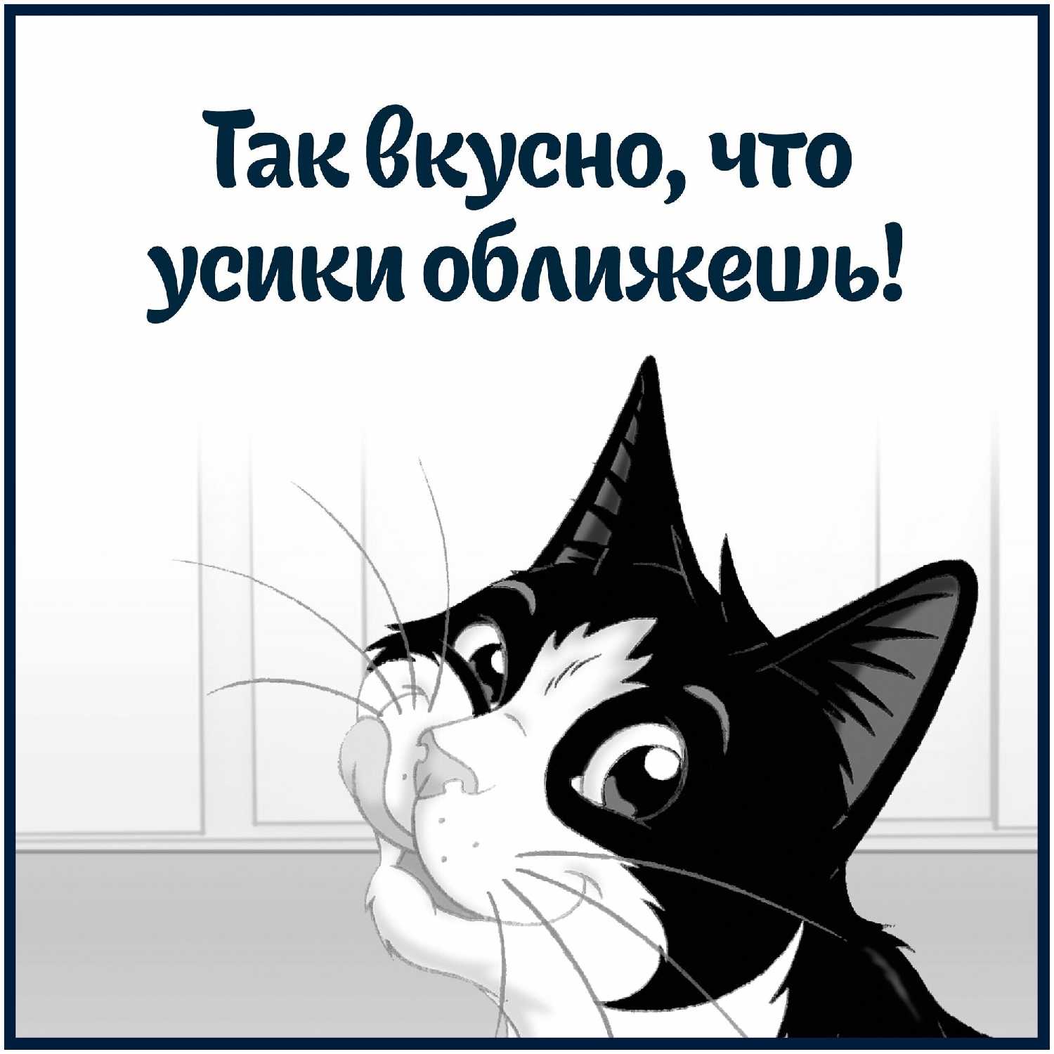 Корм для взрослых кошек Felix Sensations (кусочки в соусе) фотография 12