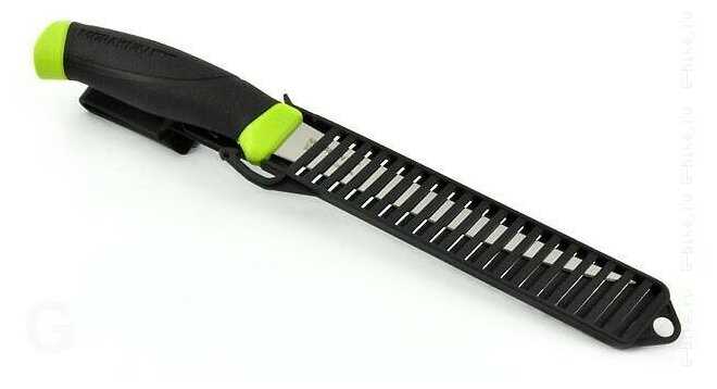 Companion фотография 7