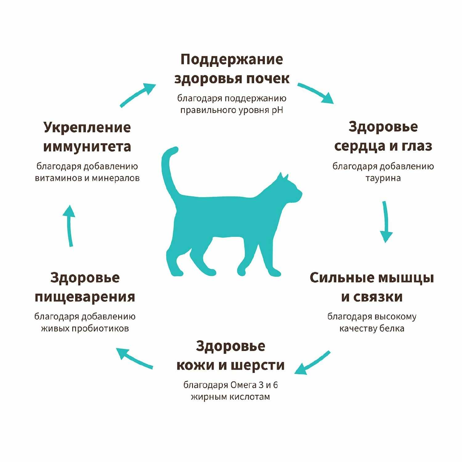 Корм для кошек Grandorf с Белой рыбой и индейкой фотография 13