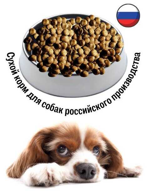 Корм для собак Grand Dog Hypoallergenic (лосось, рис) фотография 5