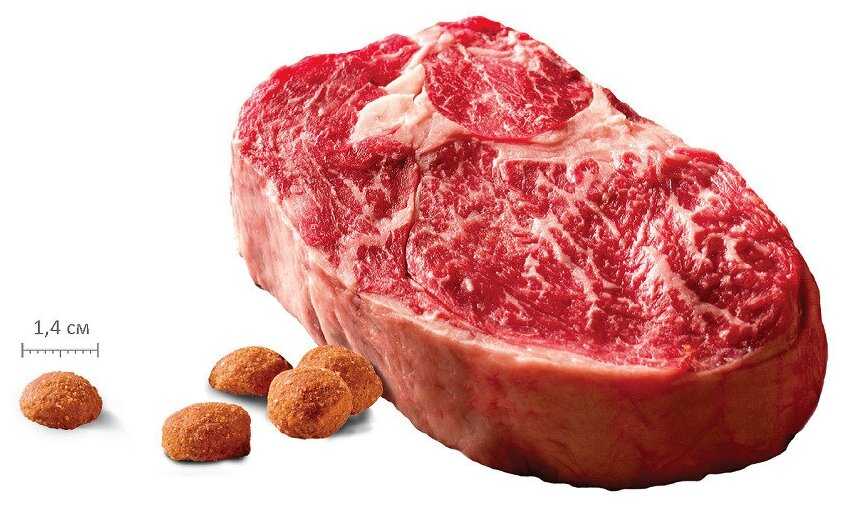 Корм PRO Meat с ягненком и картофелем фотография 15