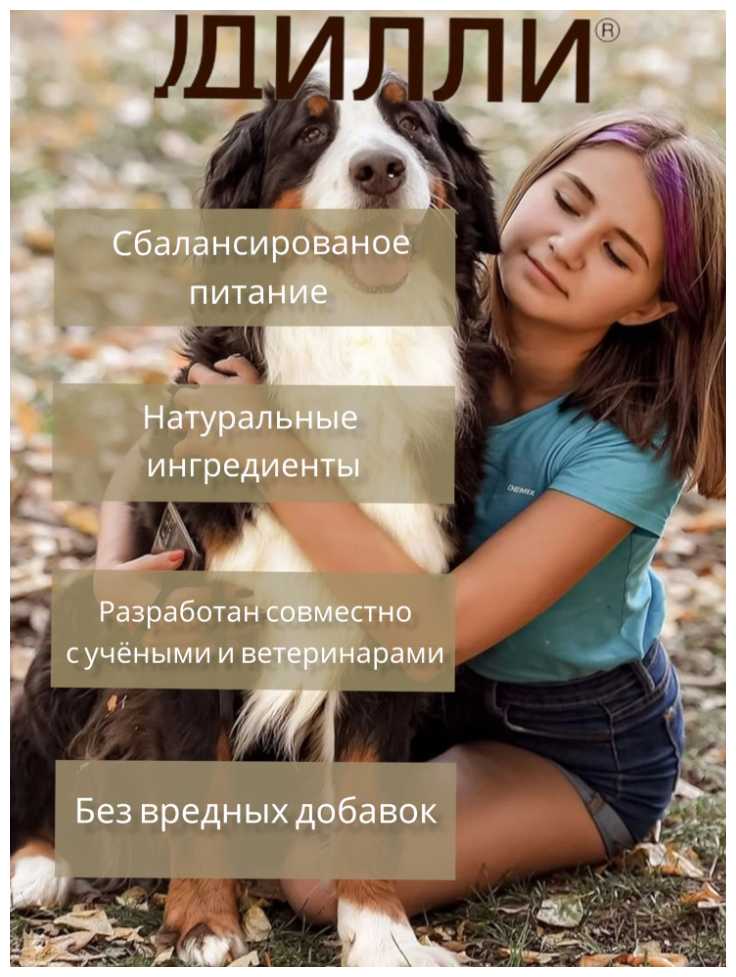 Корм для собак Дилли Рагу из курицы с рисом фотография 5