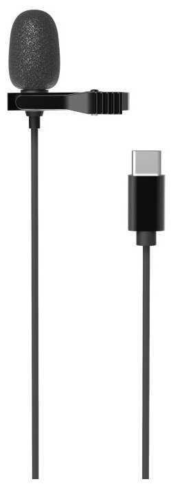 Микрофон RITMIX RCM-210 фотография 1