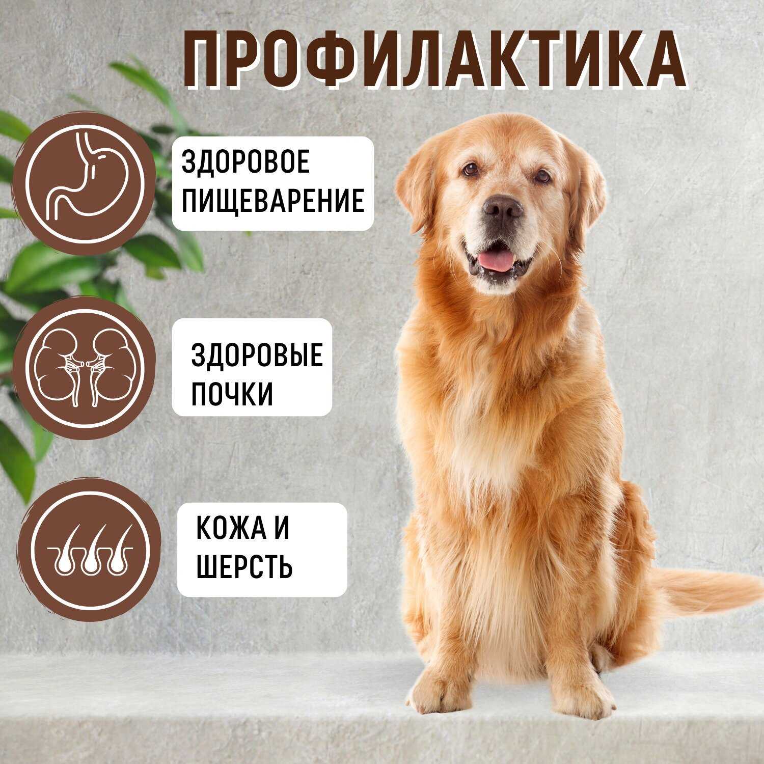 Корм для собак Grandorf беззерновой (утка с индейкой) фотография 17