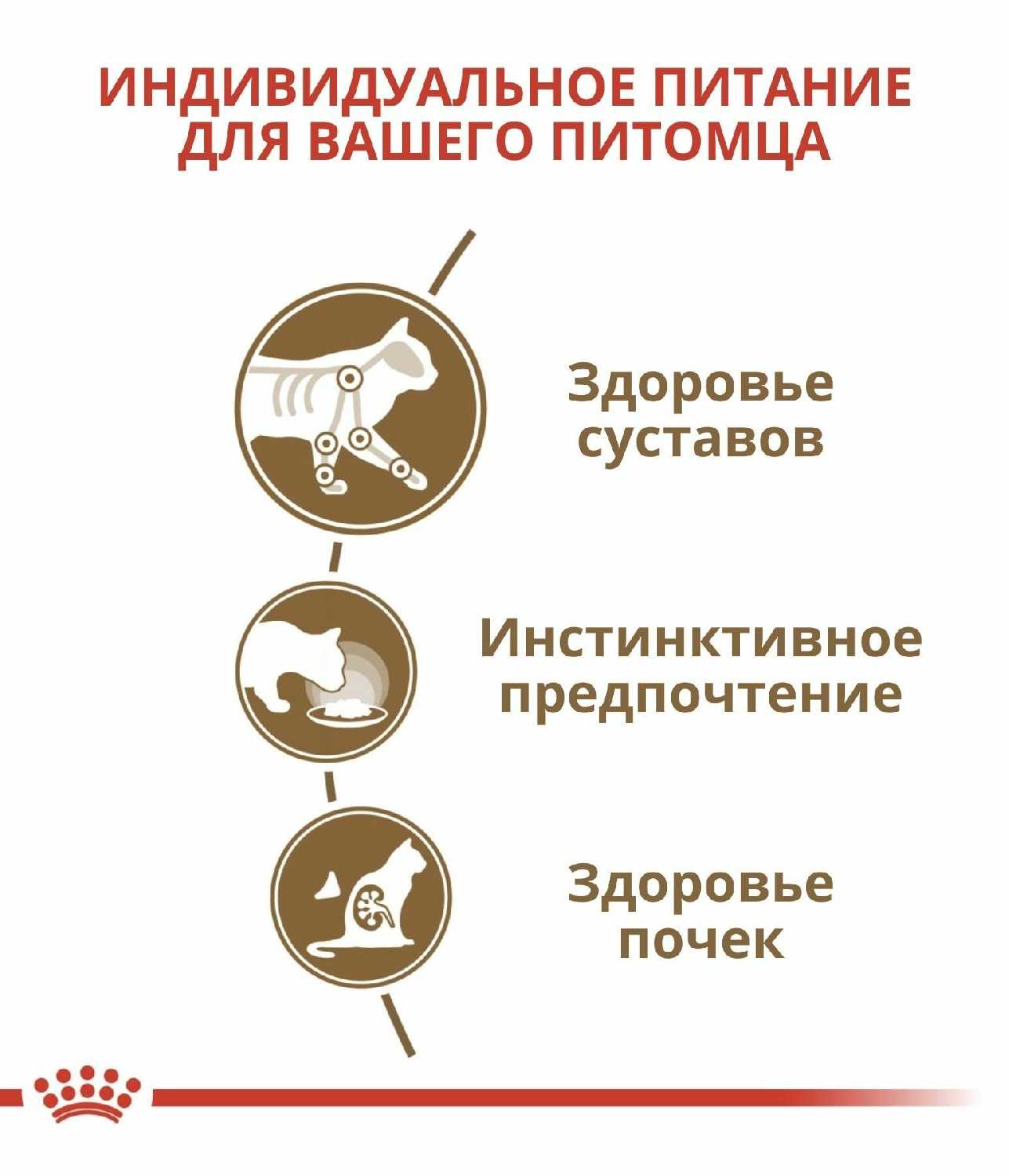 Корм для пожилых кошек Royal Canin Ageing +12 фотография 11