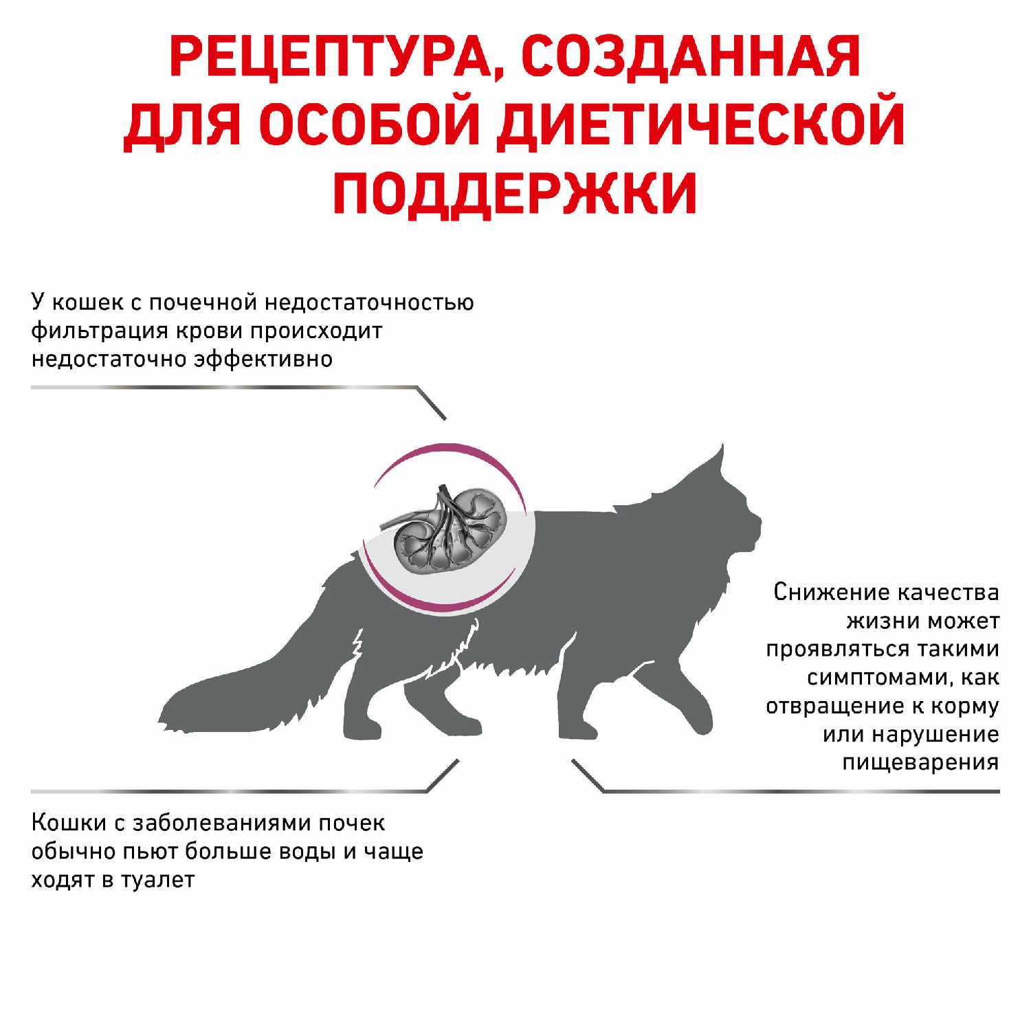 Корм для кошек Royal Canin Renal Special RSF 26 фотография 4