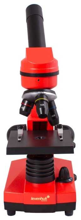 Микроскоп LEVENHUK Rainbow 2L фотография 13