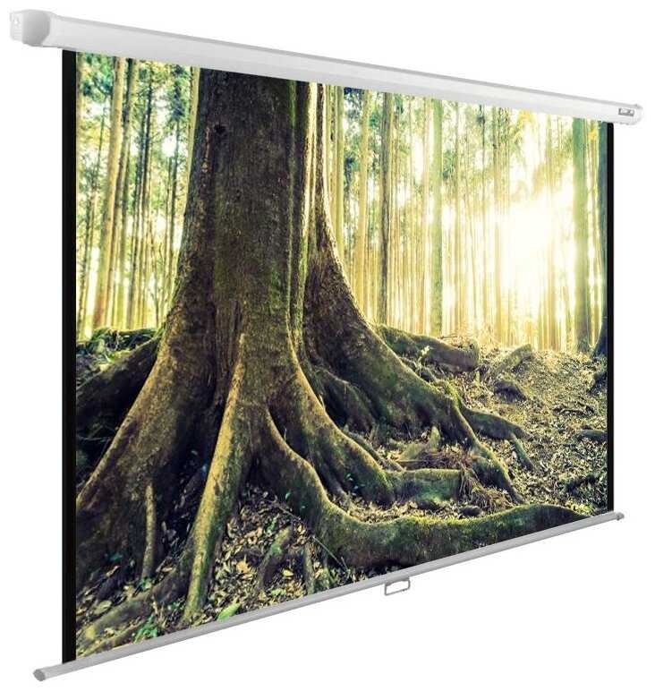 Рулонный cactus WallExpert (CS-PSWE-220x220-WT)