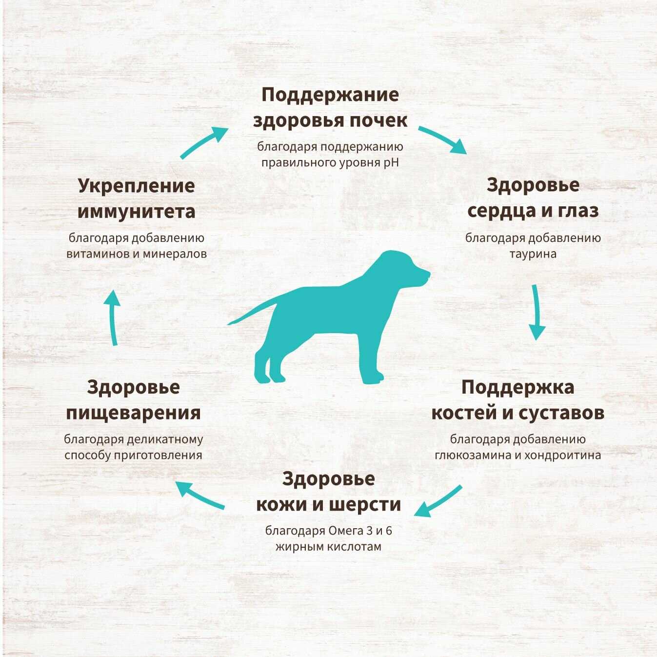 Корм для взрослых собак крупных пород Grandorf ягненок с индейкой фотография 15