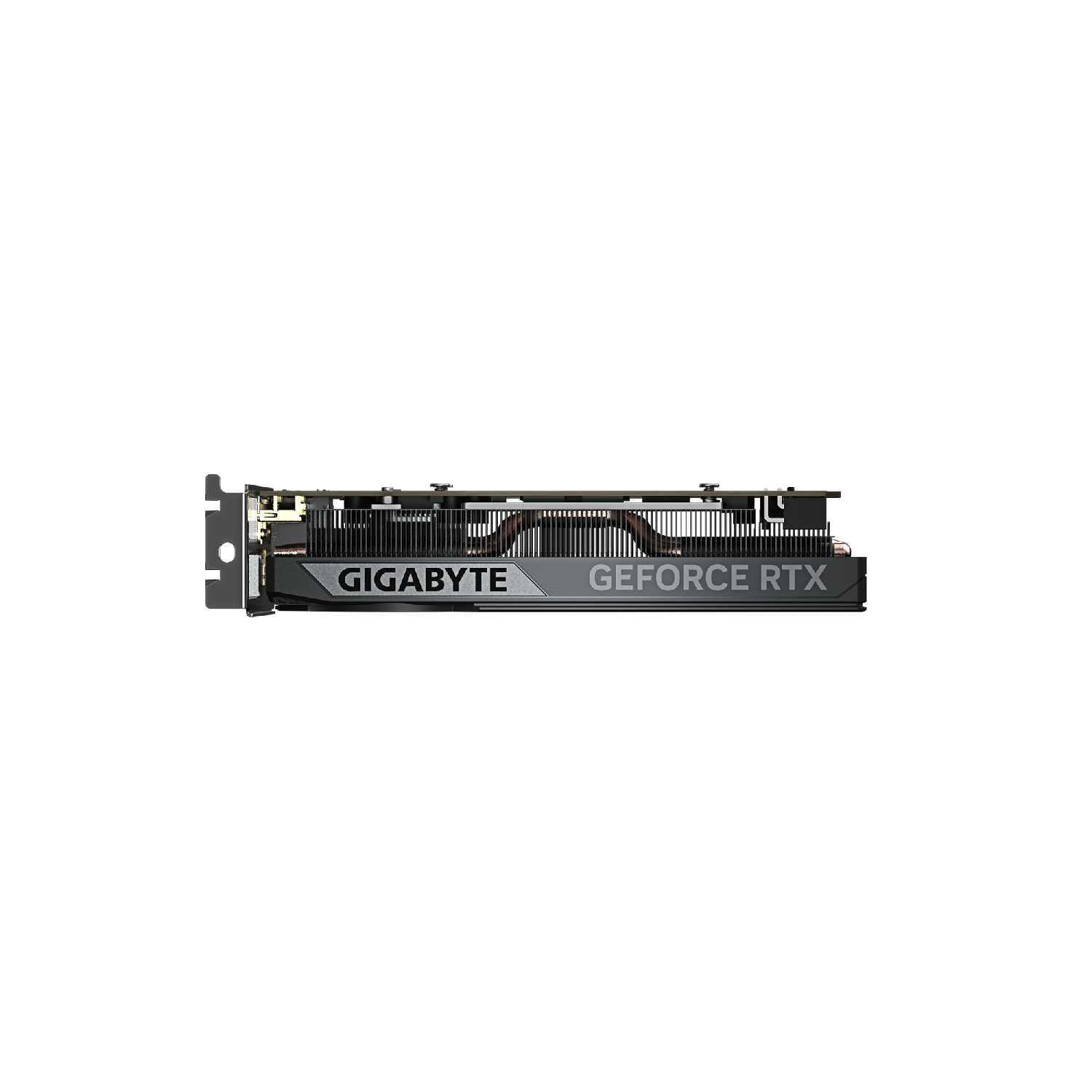 Видеокарта GIGABYTE GeForce RTX 5060 OC Low Profile 8G [GV-N5060OC-8GL] фотография 5