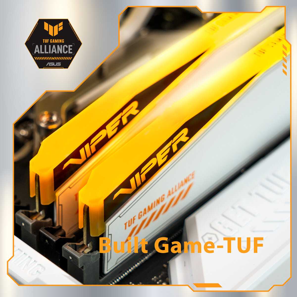 Оперативная память Patriot Viper Elite II [2x16GB DDR5 DIMM 6600MHz] [PVER532G66C34KT] фотография 8