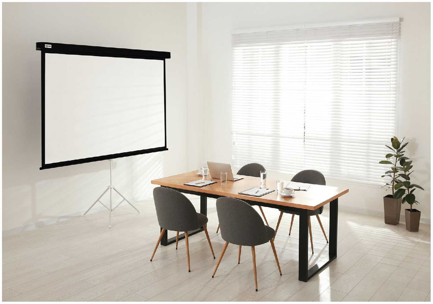 Рулонный cactus Wallscreen (CS-PSW-124x221) фотография 6