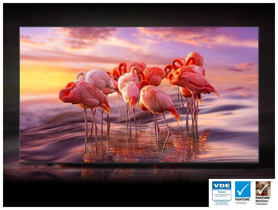 Телевизор Samsung QE65QN85BA фотография 13