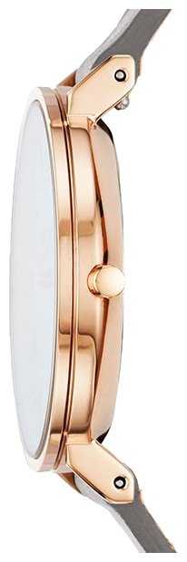 Наручные часы SKAGEN SKW2674 фотография 2