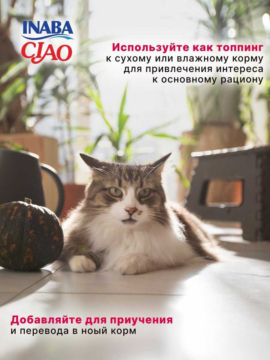 Лакомство-пюре для кошек Inaba Ciao Churu Куриное филе и креветка фотография 13