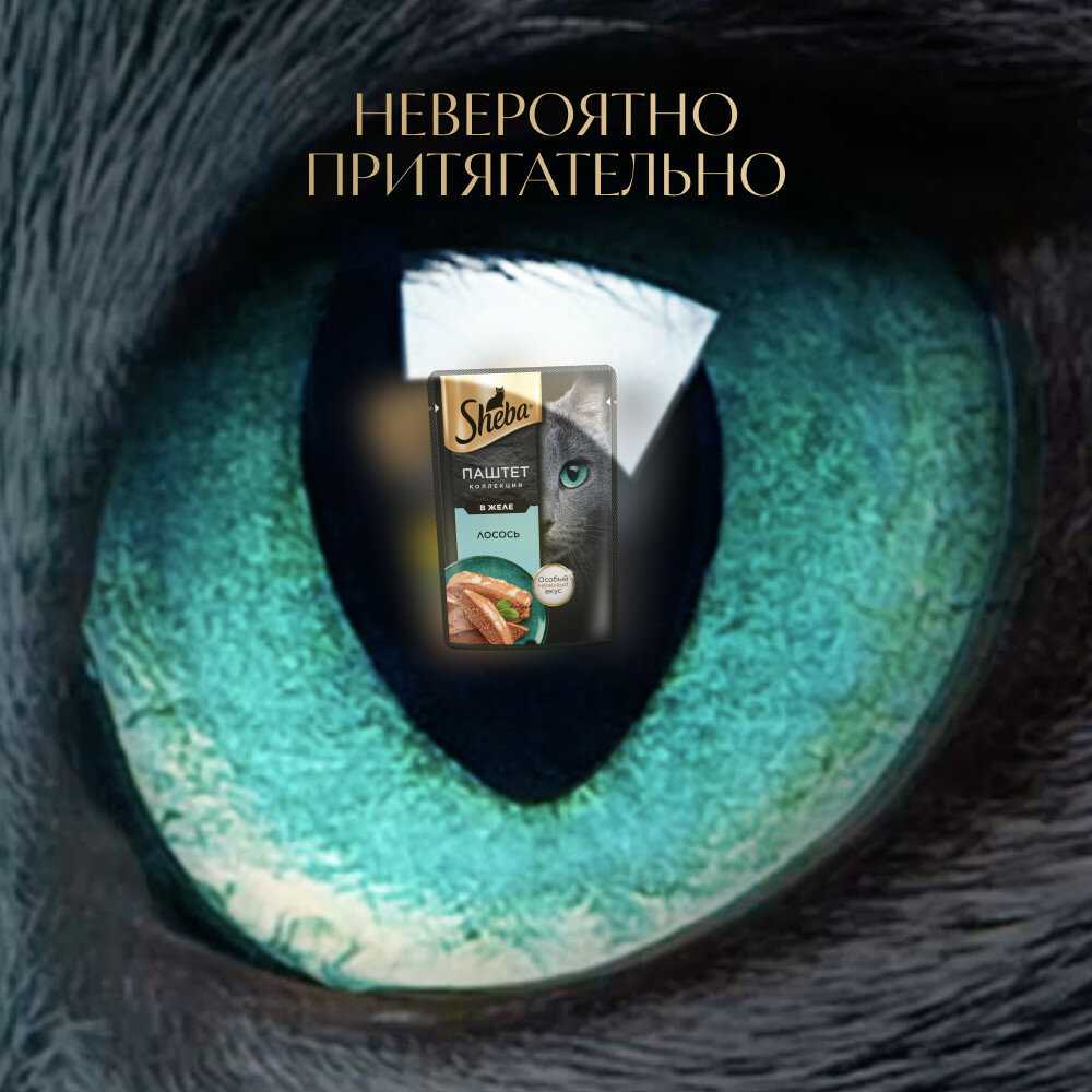 Корм для кошек Sheba Нежный паштет в желе с лососем фотография 11