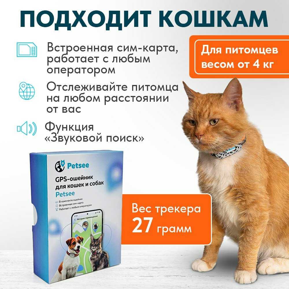 GPS трекер Petsee Petsee 4G Dogs фотография 21