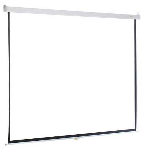 Рулонный cactus Wallscreen (CS-PSW-183x244) фотография 1