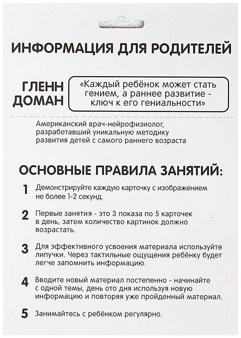 Развивающая игрушка Школа талантов Весёлые липучки. Изучаем мир лесных животных (4978163) фотография 3