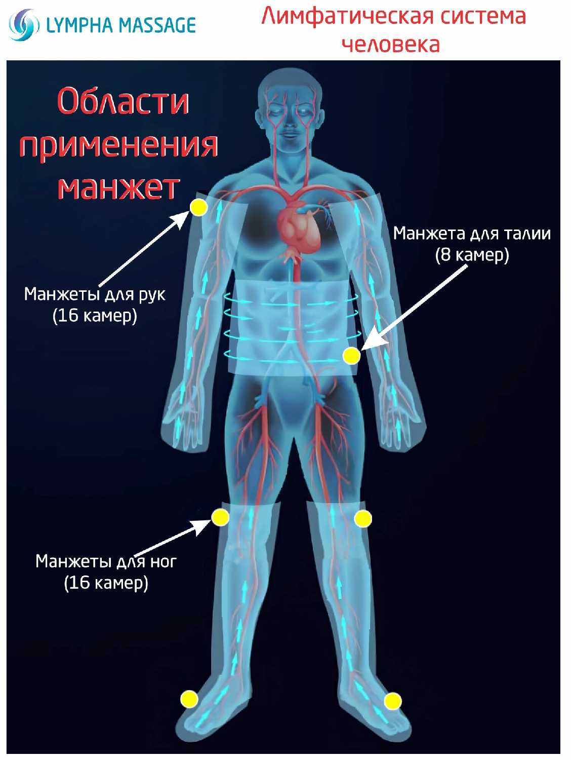Профессиональный компрессионный лимфодренажный массажер Lympha Massage-8000MLAB фотография 7