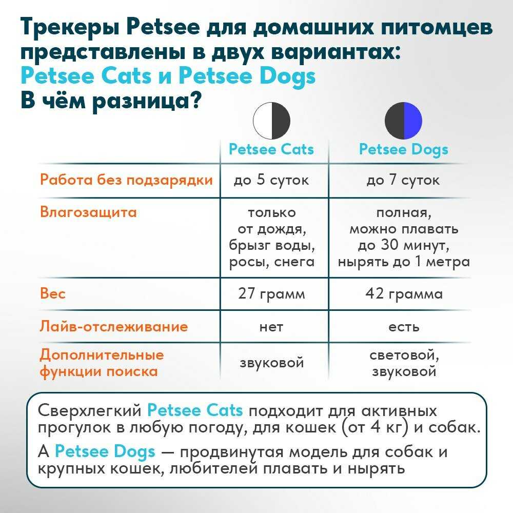 GPS трекер Petsee Petsee 4G Dogs фотография 15