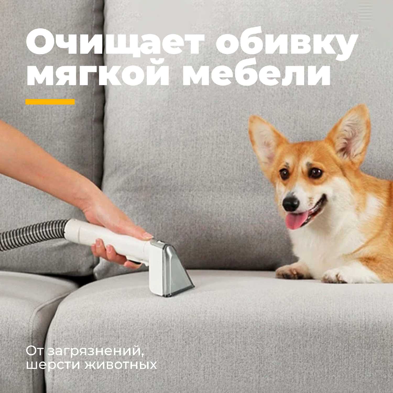 Моющий пылесос для дома FUTULA P8 фотография 2