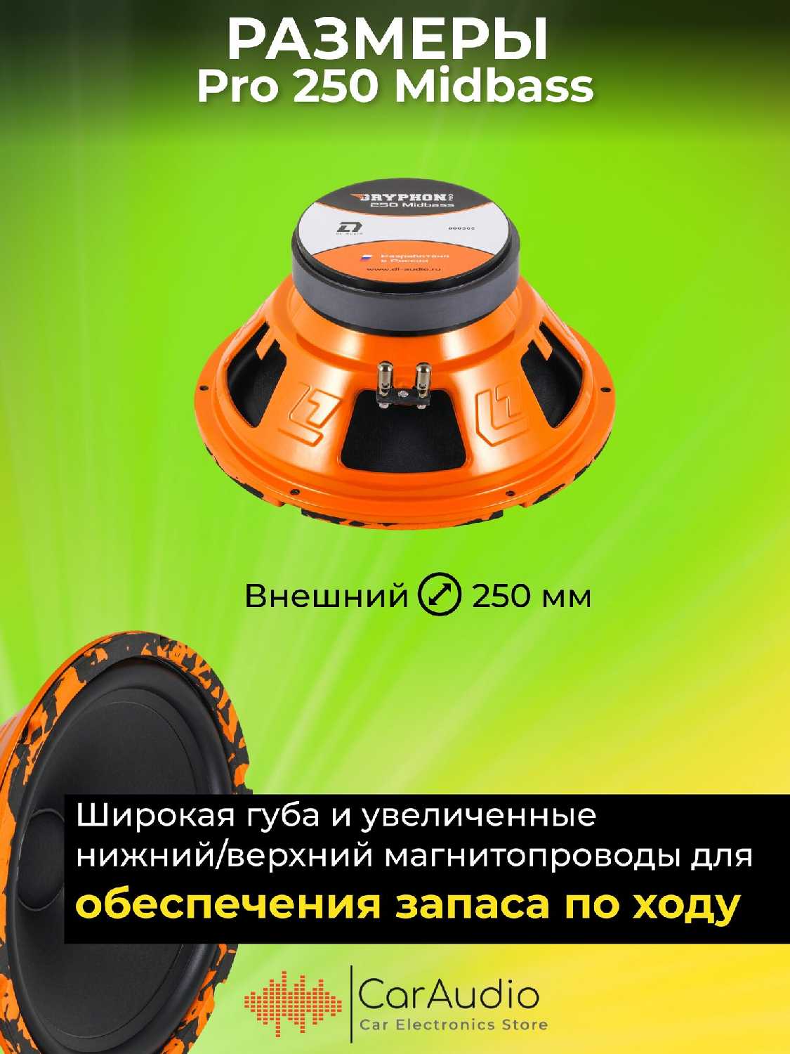 Колонки автомобильные DL Audio Gryphon PRO 250 (10 дюймов) фотография 3