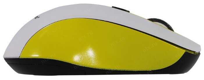 Беспроводная мышь Gembird MUSW-221 фотография 3