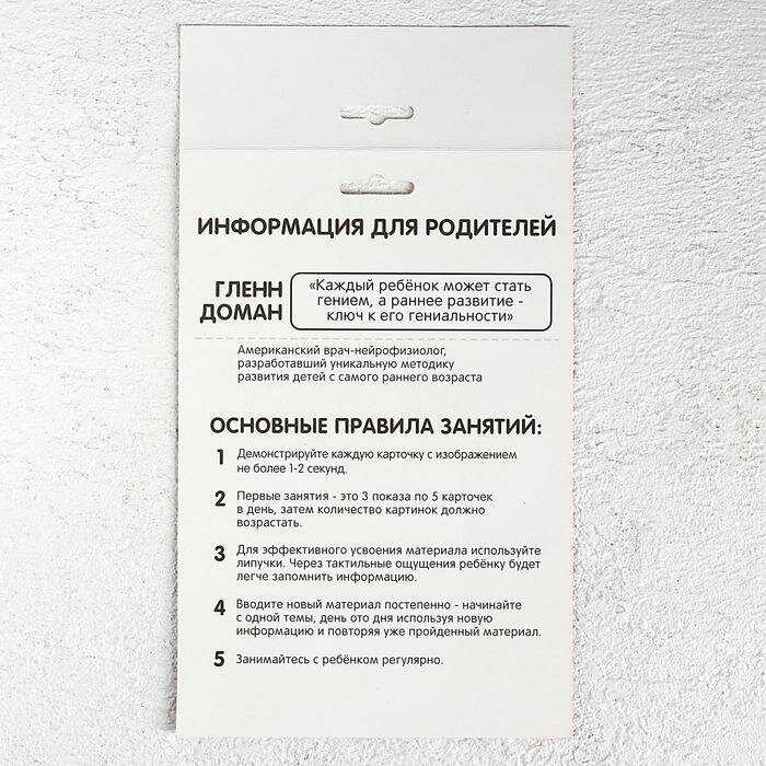 Развивающая игрушка Школа талантов Весёлые липучки. Изучаем мир лесных животных (4978163) фотография 4