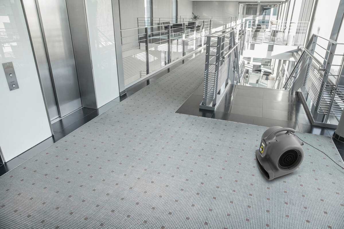 Аппарат для сушки ковров Karcher AB 20 EC (1.004-062.0) фотография 2