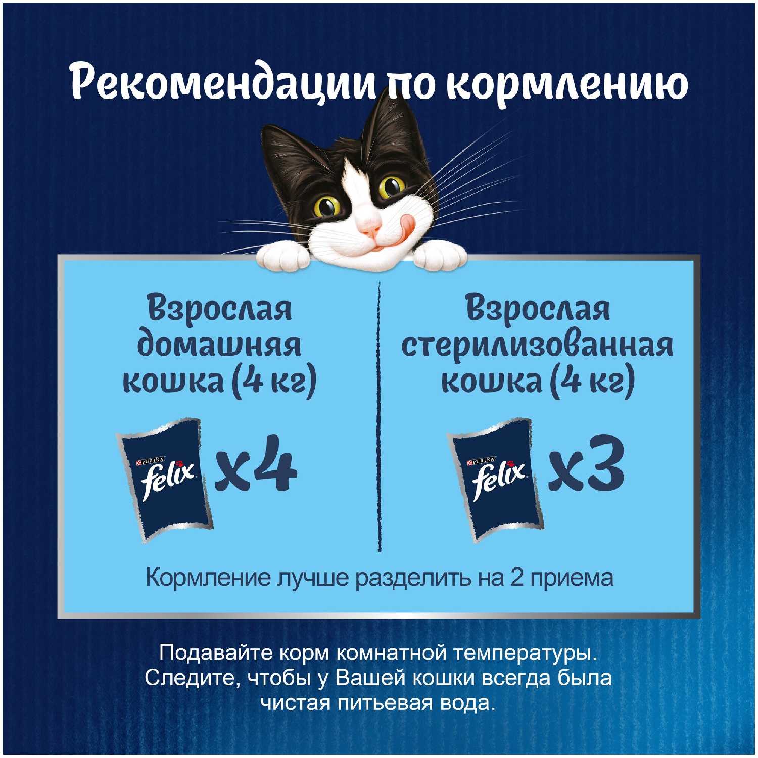 Корм для взрослых кошек Felix Sensations (кусочки в соусе) фотография 10
