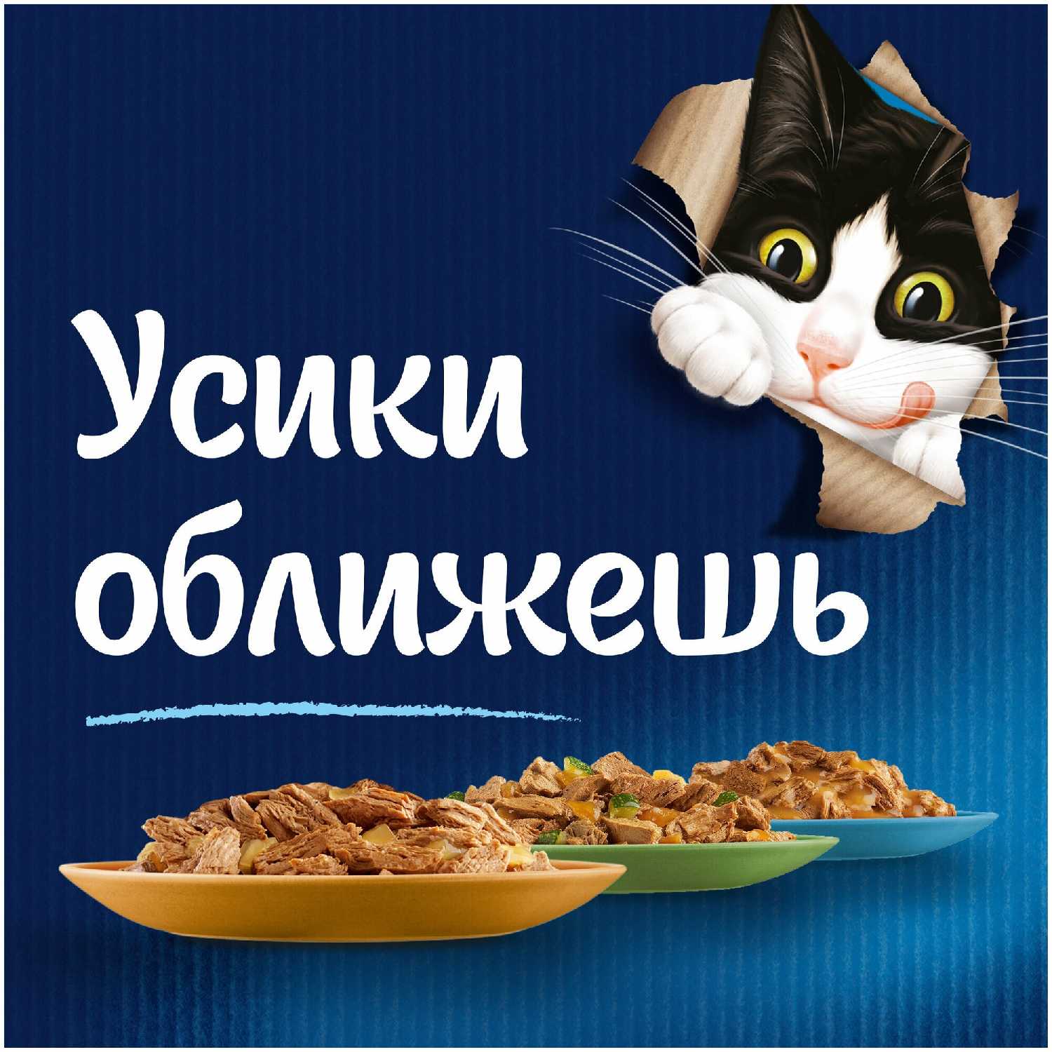 Корм для взрослых кошек Felix Sensations (кусочки в соусе) фотография 6