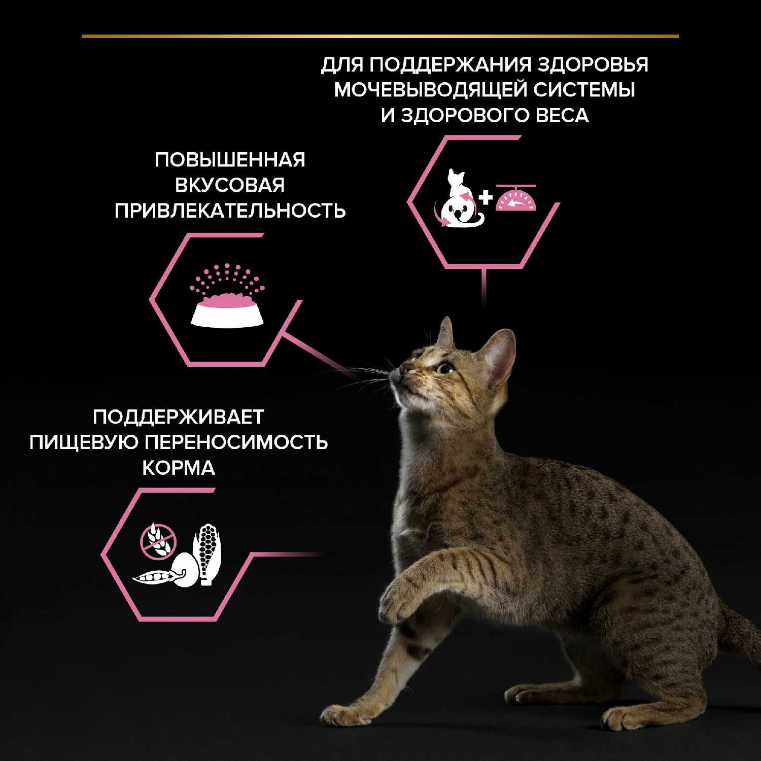 Корм Pro Plan с кроликом фотография 17