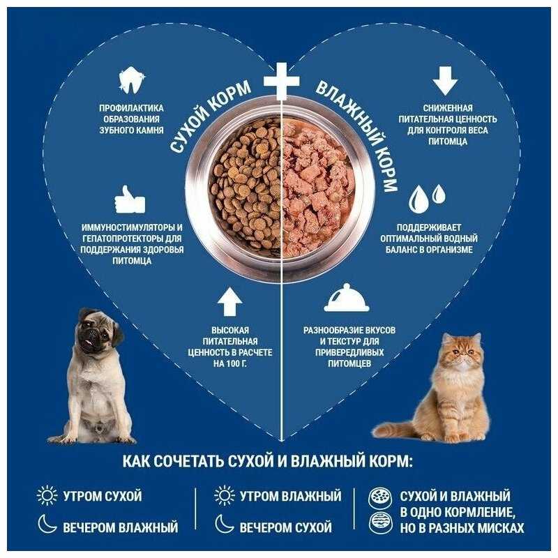 Корм для кошек Monge Natural (мини-филе) фотография 4