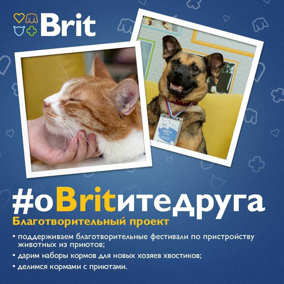 Корм Brit Premium (кусочки в соусе) фотография 13