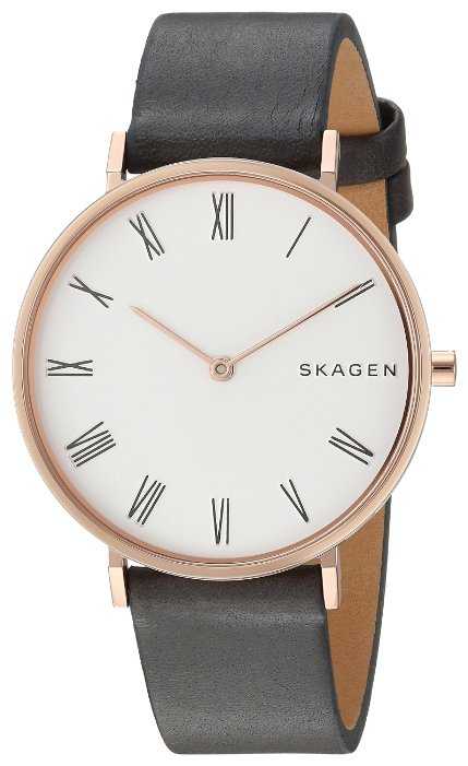 Наручные часы SKAGEN SKW2674 фотография 1
