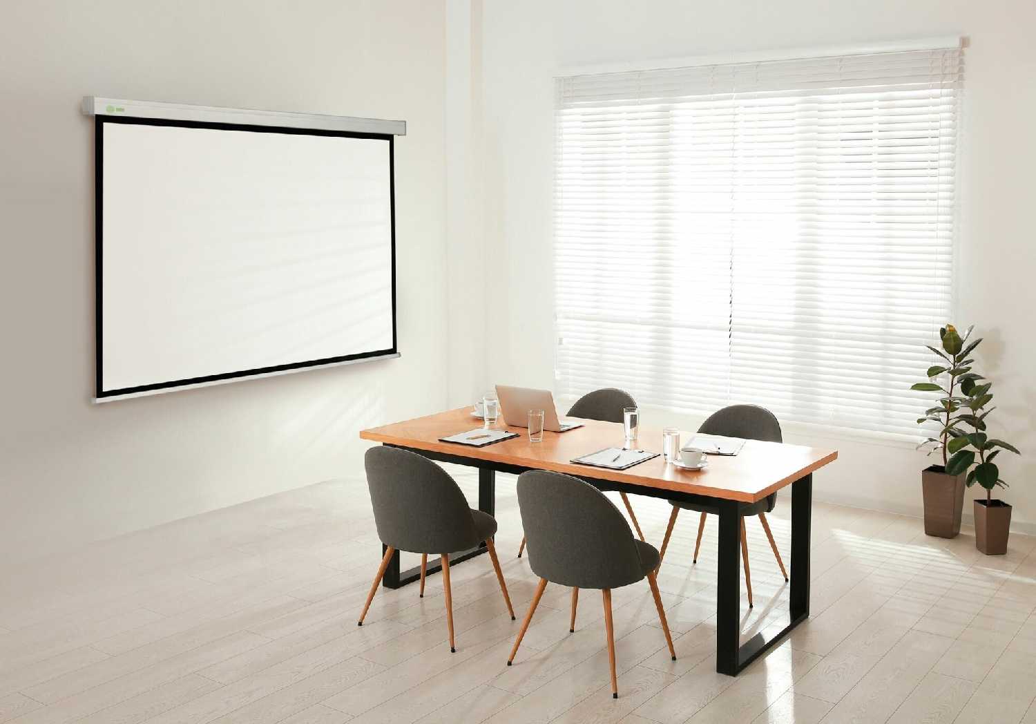 Рулонный cactus Wallscreen (CS-PSW-104x186) фотография 2