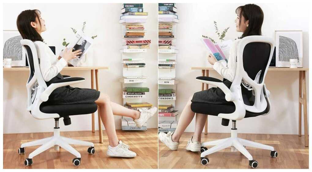 Кресло компьютерное HBADA ergonomic double-waisted (HDNY163BM) фотография 5