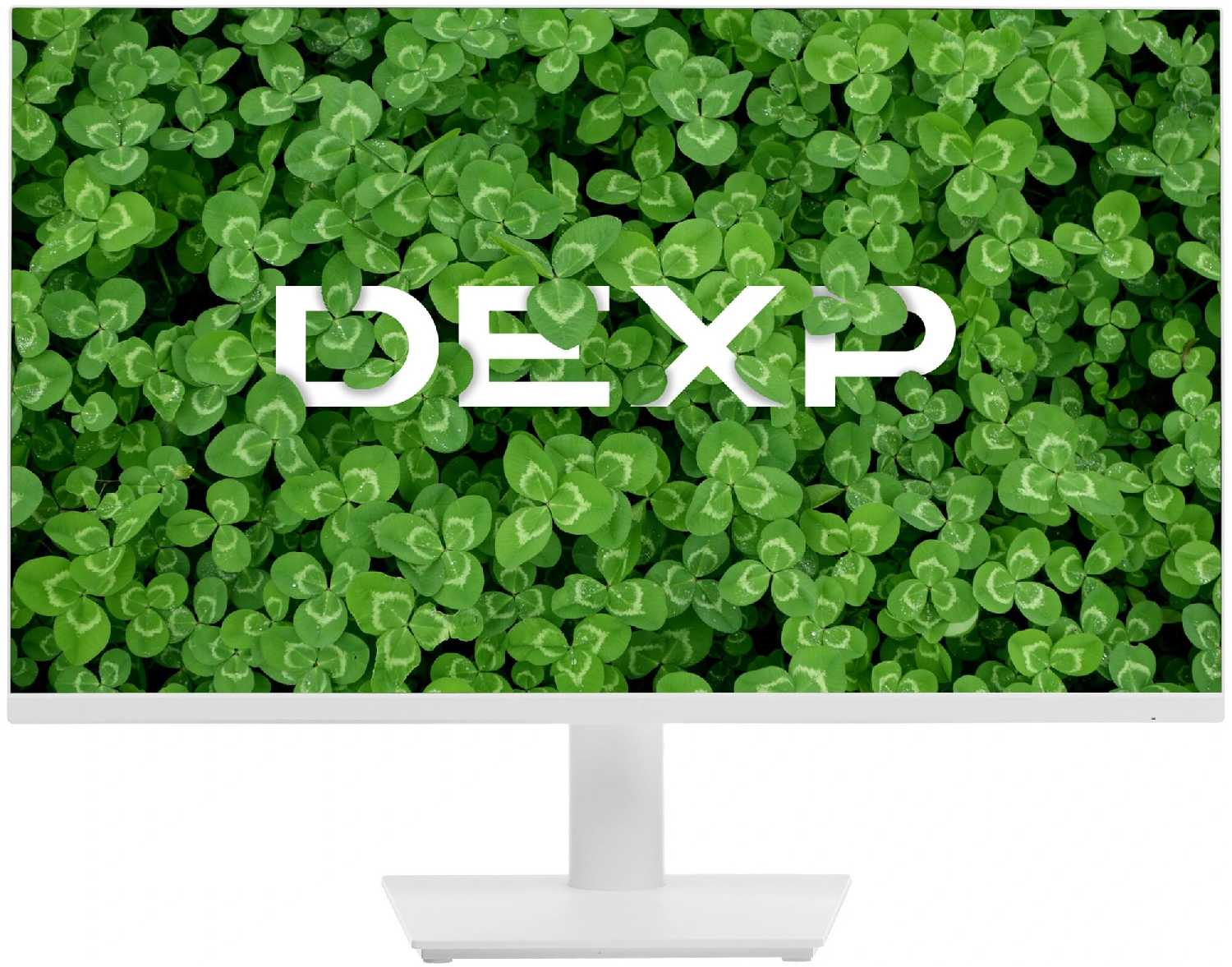 DEXP DF24N1