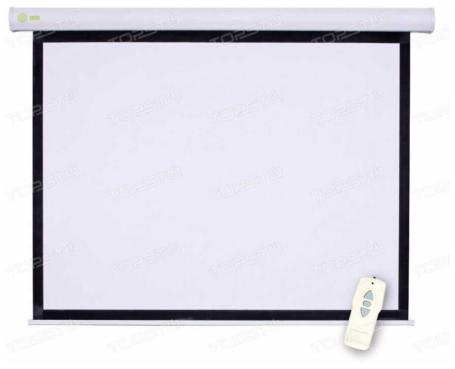 Рулонный cactus Motoscreen (CS-PSM-152x203) фотография 2