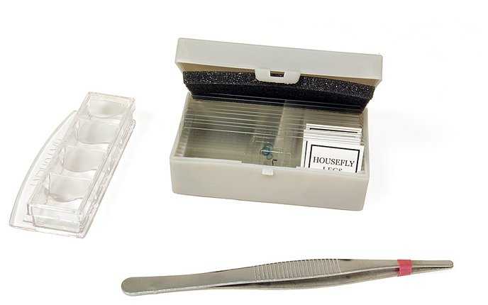 Микроскоп Levenhuk 3S NG фотография 6