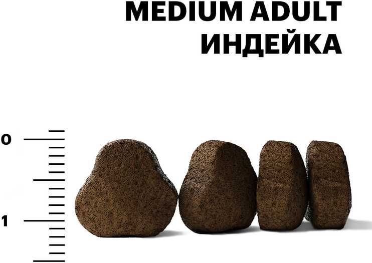 Корм для собак Karmy Medium Adult (индейка) фотография 2