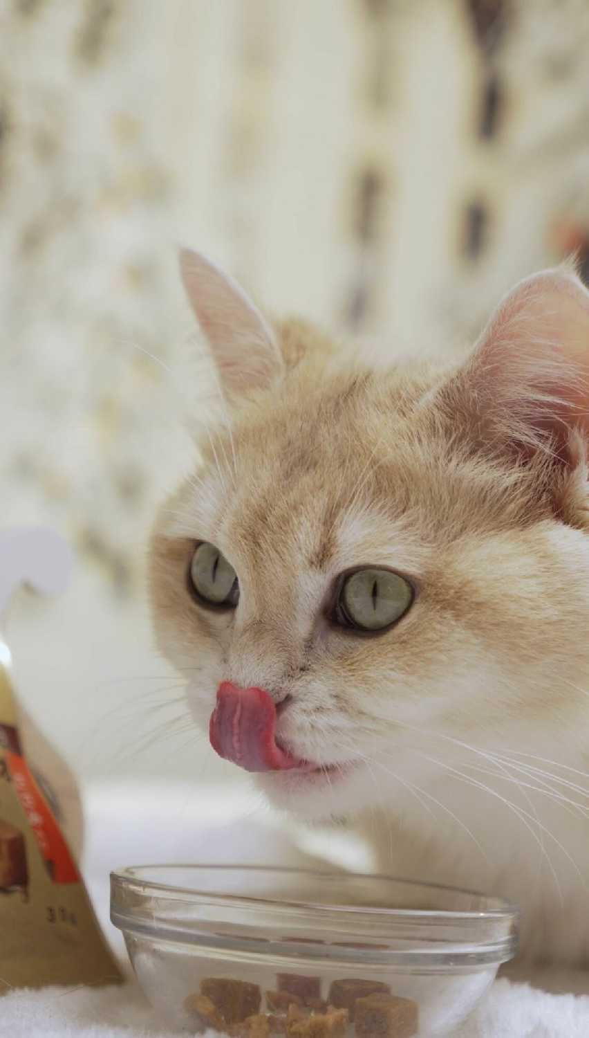 Лакомство для кошек CattyMan Конфетки-суфле фотография 9