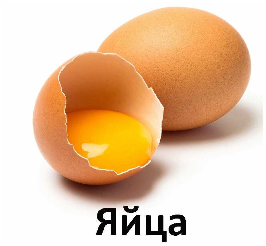 Корм для щенков Farmina (для средних и крупных пород) фотография 12